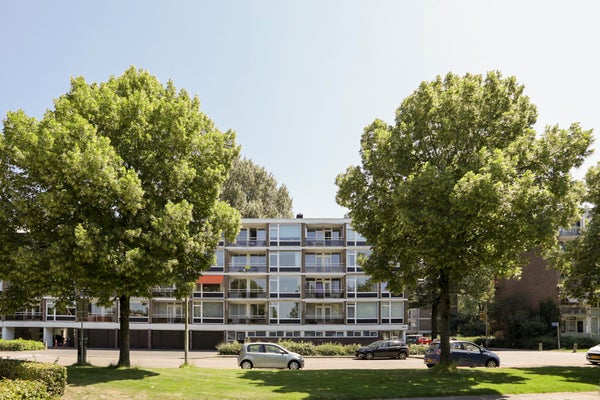 Lindenlaan